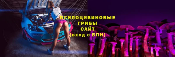 a pvp Аркадак