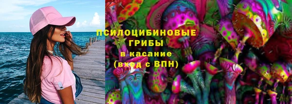a pvp Аркадак