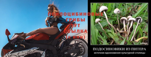 гашишное масло Арсеньев